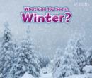 What can you see in winter? - Smith, Sian