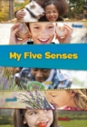 Image for My five senses