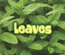 Image for All about leaves