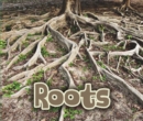 Image for All about roots