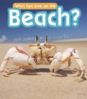 Image for What Can Live at the Beach?