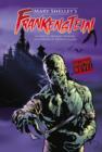 Mary Shelley's Frankenstein by Shelley, Mary cover image