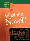 Image for What is a Novel?