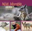 Image for The Most Adorable Animals in the World