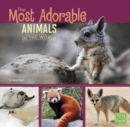 Image for The most adorable animals in the world