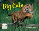 Image for Big Cats Pack of 6