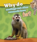 Image for Why Do Monkeys and Other Mammals Have Fur?