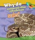 Image for Why Do Snakes and Other Animals Have Scales?