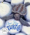 Image for One Tiny Turtle Pbk With Cd