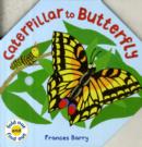 Image for Caterpillar To Butterfly