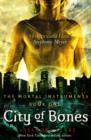 Image for City of bones