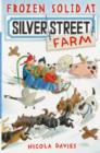 Image for Frozen solid at Silver Street Farm