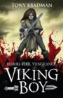 Viking boy by Bradman, Tony cover image