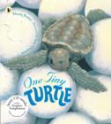 Image for One tiny turtle
