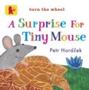 Image for A Surprise for Tiny Mouse