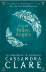Image for The Mortal Instruments 4: City of Fallen Angels