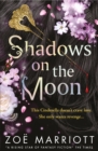 Image for Shadows on the moon