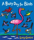 Image for A busy day for birds