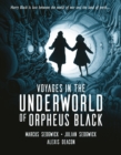 Image for Voyages in the underworld of Orpheus Black
