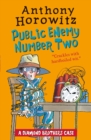 Image for The Diamond brothers in Public Enemy Number Two