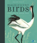 Image for Magnificent birds