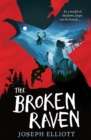 Image for The Broken Raven (Shadow Skye, Book Two)