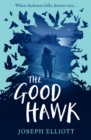Image for The good hawk
