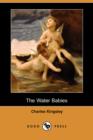 Image for The Water Babies (Dodo Press)