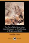 Image for The Pony Rider Boys in the Grand Canyon; Or, the Mystery of Bright Angel Gulch (Dodo Press)