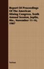 Image for Report Of Proceedings Of The American Mining Congress, Tenth Annual Session, Joplin, Mo., November 11-16, 1907