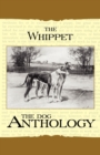 Image for The Whippet - A Dog Anthology (A Vintage Dog Books Breed Classic)