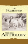 Image for The Foxhound &amp; Harrier - A Dog Anthology (A Vintage Dog Books Breed Classic)