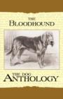 Image for The Bloodhound - A Dog Anthology (A Vintage Dog Books Breed Classic)