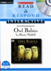 Image for Owl Babies