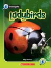 Image for LADYBIRDS LIFE CYCLES