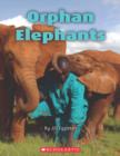 Image for Orphan Elephants