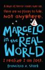 Image for Marcelo in the real world