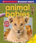 Image for Scholastic Discover More: Animal Babies