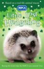 Image for Little Lost Hedgehog
