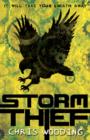 Image for Storm Thief