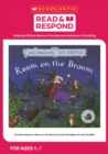 Image for Activities based on Room on the broom by Julia Donaldson &amp; Axel Scheffler