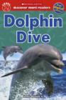 Image for Dolphin story