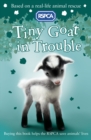 Image for Tiny goat in trouble
