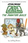 Image for The phantom bully