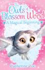 Image for The Owls of Blossom Wood: A Magical Beginning