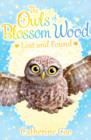 Image for The Owls of Blossom Wood: Lost and Found
