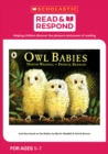 Image for Activities based on Owl babies by Martin Waddell