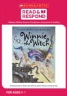 Image for Winnie the Witch