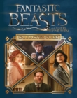 Image for Fantastic beasts and where to find them character guide