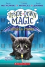 Image for UPSIDE DOWN MAGIC #2: Sticks and Stones